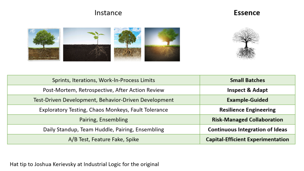 Examples of Instance and Essence, illustrated by images of four different trees compared to a silhouette diagram of a tree. Below those images is a table of examples taken from software development.